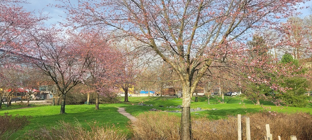 20250424_185543.jpg