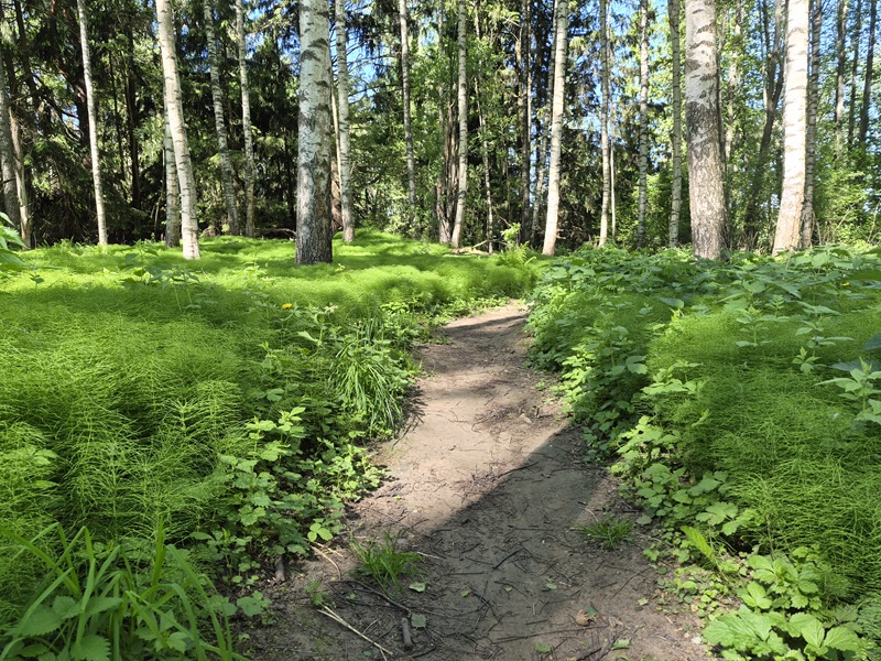 20260530_103111.jpg